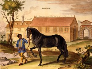 Makomilia, um turco, liderado por um menino de cordeiro negro em libré, de "O método e nova invenção dos cavalos de vestir" por William Cavendish, publicado em 1737 (2nd edn) (aquatint)